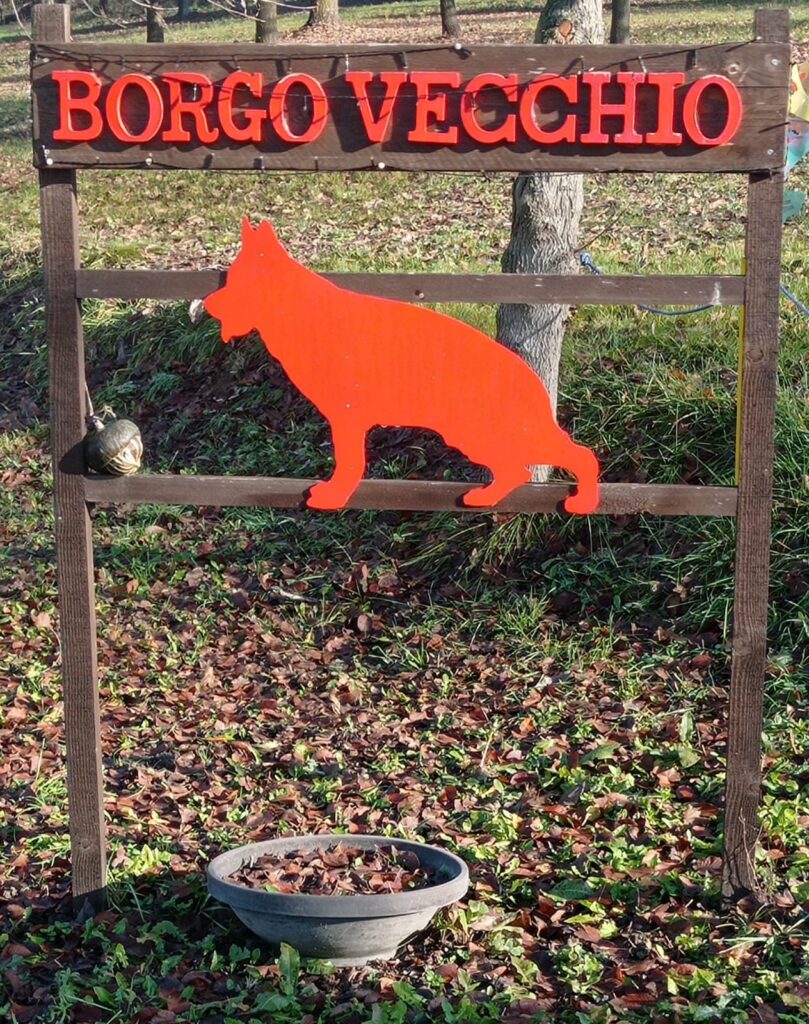 Allevamento riconosciuto ENCI in provincia di Torino
